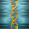 Researchers make early progress toward understanding genetics of sports injuries