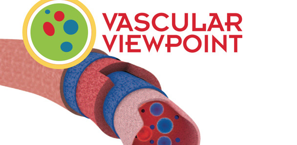 Venous ulcers: The role of compression therapy