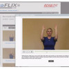 TheraFlix Online Exercise System 
