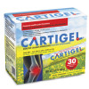 Cartigel Joint Supplement