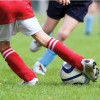 Early ACL surgery could lower risk of associated knee damage