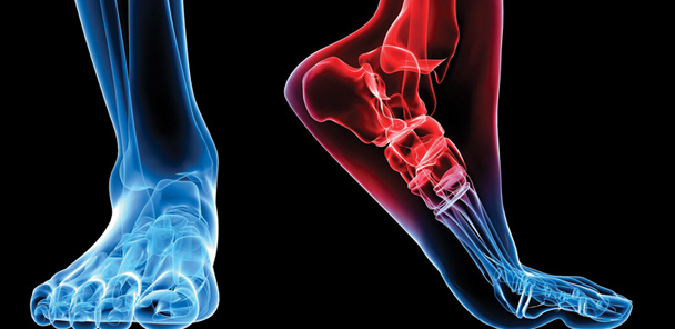 Company Profiles: Fabrication