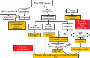 Figure 1. Treatment algorithm: neuropathic pain after exclusion of nondiabetic etiologies and stabilization of glycemic control. Abbreviations: IVIg, intravenous immunoglobulin; SNRI, sero- tonin-noradrenaline reuptake in- hibitors; TCA, tricyclic antide- pressants. (Reprinted with permission from reference 3.)