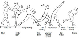Figure 1. Phases of the pitching motion.