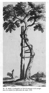 The Andry Tree Illustration