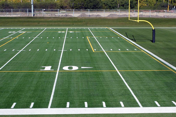 Figure 1. Photograph of a third-generation artificial turf surface.