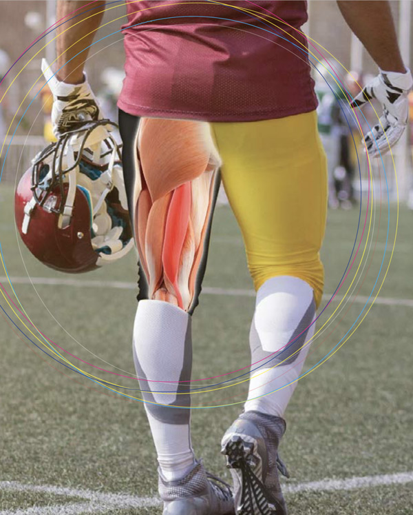 Sports Injury Bulletin - Anatomy - Hamstring injuries: why