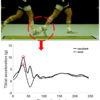 Peak Tibial Accelerations as Real-time Measure of Impact Loading
