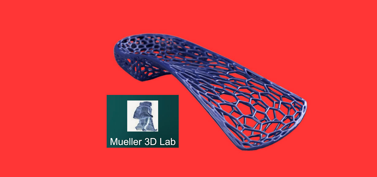 FREE 3D WEBINAR for O & P Labs & Clinics: What does it take to adopt 3d foot & ankle orthotic technology?