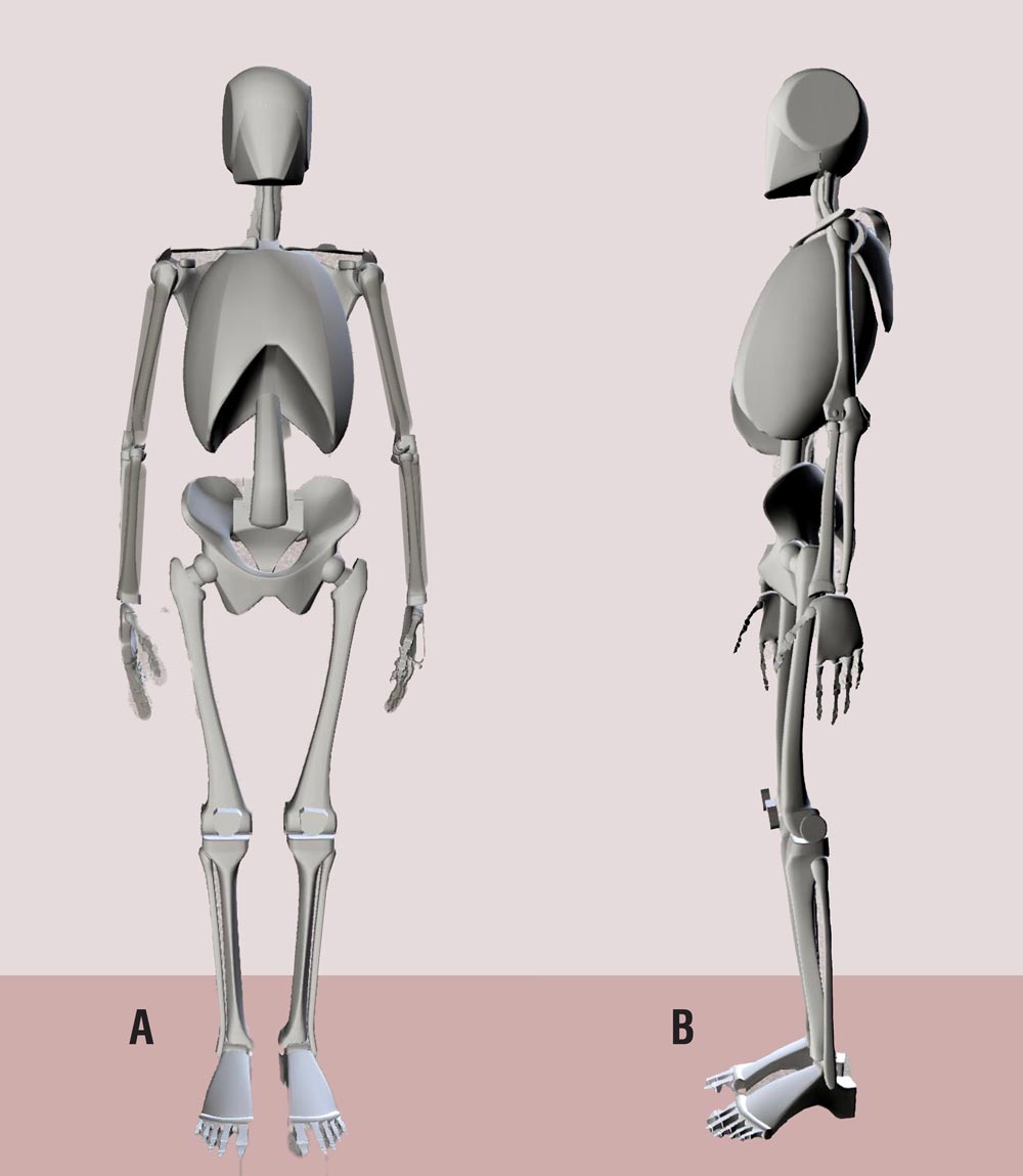 Good posture. Correct and incorrect human poses. Neutral spine