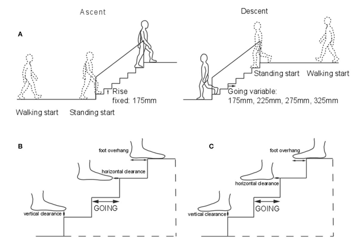 Stair Gait in Younger and Older Adults