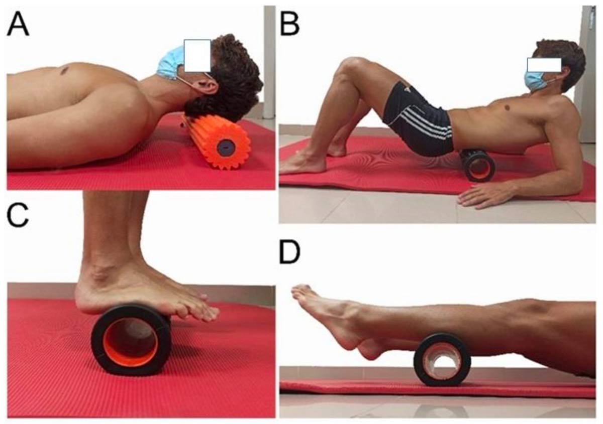 SELF-MYOFASCIAL RELEASE, REMOTE HAMSTRING STRETCHING EFFECTS, AND MYOFASCIAL CHAINS