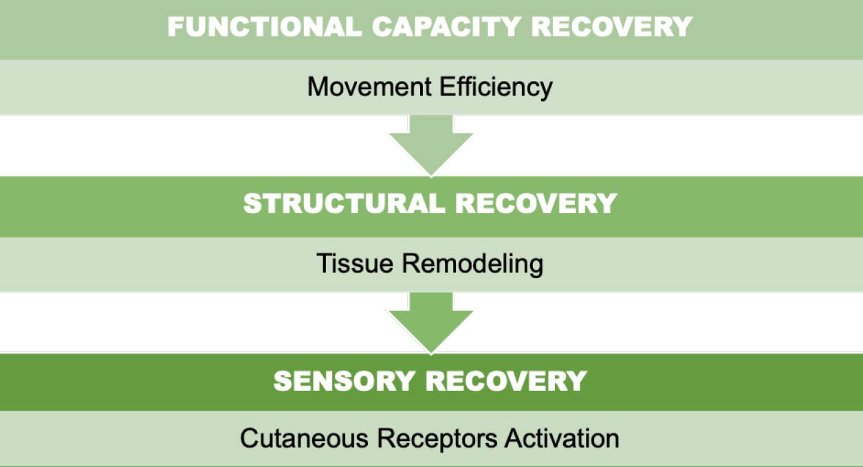 Recovery and regeneration strategies