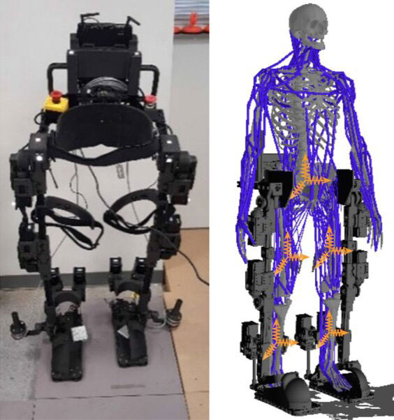 Advanced Control System May Advance Lower Limb Exoskeleton Experience