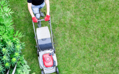Lawn Mower-Related Lower Extremity Injuries Treated at United States Emergency Departments