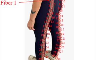 Fiber Optic Smart Pants Can Monitor Movements