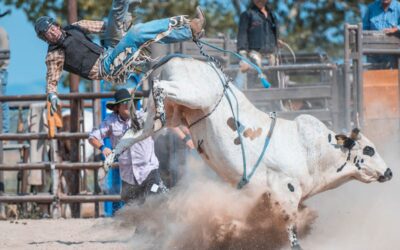 Rodeo-Related Lower Extremity Injuries Treated at Hospital Emergency Departments