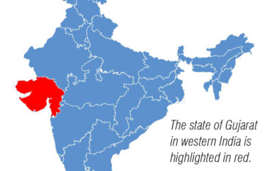Gujarati Translation for Walking Impairment Questionnaire for PAD