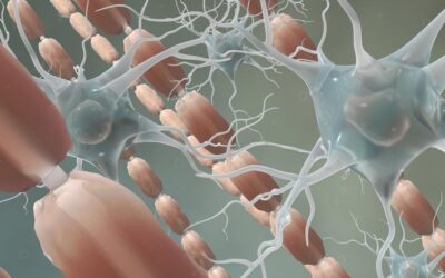 Some MS Therapies May Not Slow Disability Progression