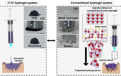 Biomaterial Technology, Rehabilitation Medicine to Aid in Muscle/Nerve Regeneration
