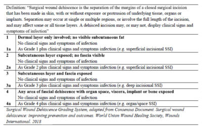 Can a Common Definition Improve Surgical Wound Dehiscence Diagnosis?