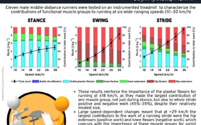 How Humans Run Faster