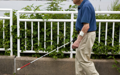 Computer-Aided Gait Analysis Can “See” Blind Gait