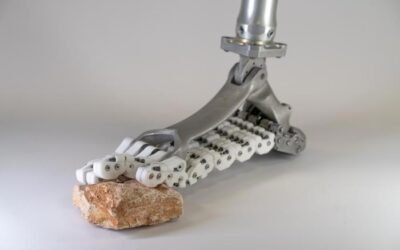 New Prosthetic Foot Inspired by the Human Anatomy