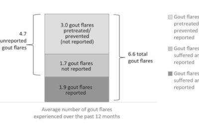 Gout Flare Burden in the United States