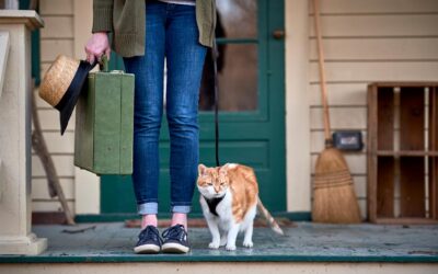 Cat-Related Falls and Hits Affecting the Lower Extremity Treated at United States Hospital Emergency Departments