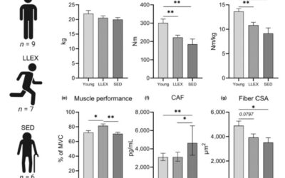 Motor Neurons Positively Stimulated by Life-long Exercise