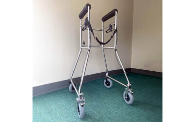 Adult Independence Walker