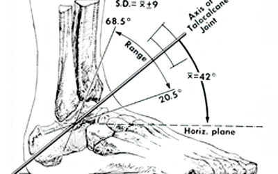 CAGA 101: The 12 Dirty Truths Of Foot Mechanics