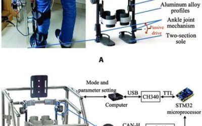 Robotics for Adaptive Gait Training