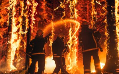 Firefighters’ exposure footwear impacts lower limb walking biomechanics