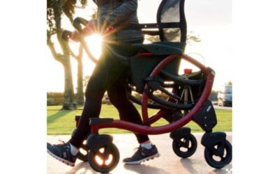 Elevating Walker-Chair