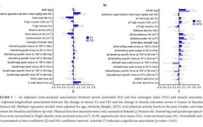 Associations Between Female Sex Hormones and Skeletal Muscle Aging