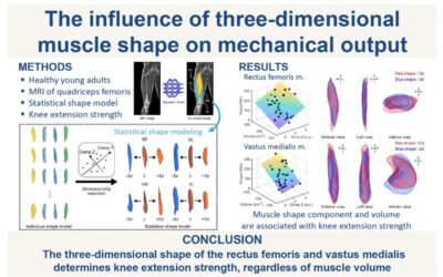 Males/Females Experience Pain Through Different Mechanisms