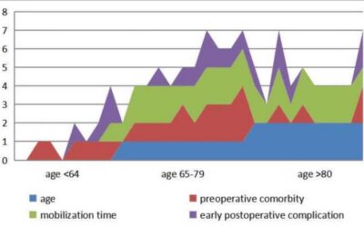 A Novel Scoring System Predicts Mortality and Morbidity After BKA
