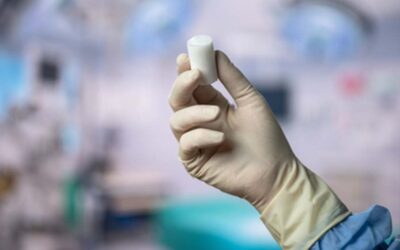 Minimally Invasive ACL Repair Implant