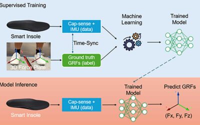 Smart Insoles Are a Breakthrough in 3D GRF Estimation