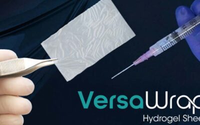 Hyaluronic Acid and Alginate Device for Tendon Repairs