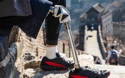 Bioinspired Origami–Based Prosthetic Knee