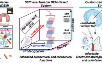 Customizable Hydrogel Shows Promise for Treating Meniscus Injuries