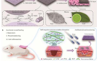 Smart Bandage with Plant Power Heals Chronic Wounds