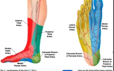 Management of Charcot Soft Tissue Complications