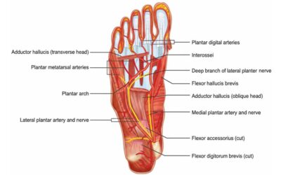 Diagnostic Advancements in Early Detection of Diabetic Neuropathy