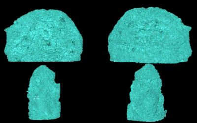 Bio(printed) Skin for Wound Healing