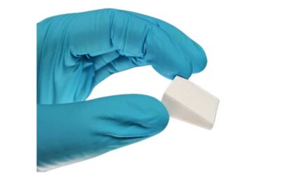 Resorbable Synthetic Wedges for Osteotomy Procedures