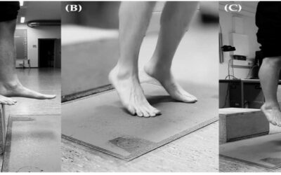 Achilles Tendon Stiffness and Jumping: Comparative Study of Soccer and Basketball Athletes